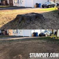 Stump "OFF" LLC Stump Grinding image 2